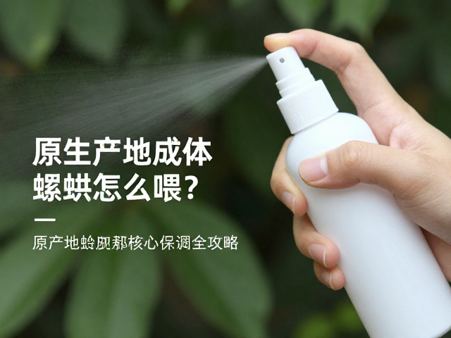 原生产地成体蜕皮怎么喂？喷雾瓶保湿全攻略