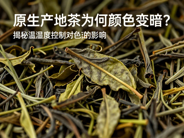 原生产地茶叶为何颜色变暗？揭秘温湿度控制对色泽的影响