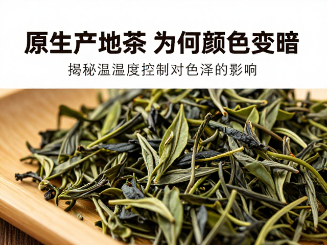 原生产地茶叶为何颜色变暗？揭秘温湿度控制对色泽的影响