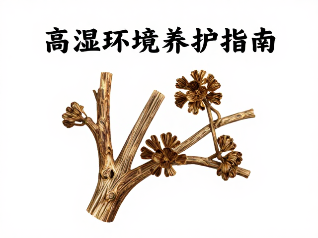 海南沉香原产,避频繁把玩,高湿环境养护指南