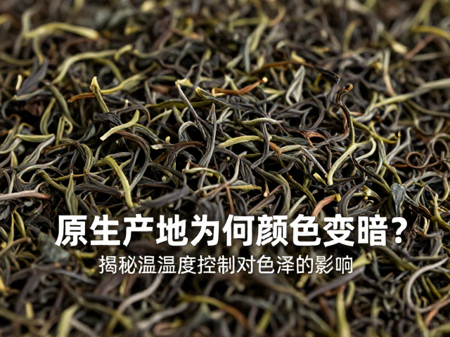 原生产地茶叶为何颜色变暗？揭秘温湿度控制对色泽的影响