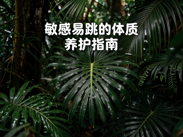 热带雨林原产珍稀植物，敏感易跳体质养护指南
