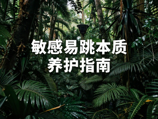 热带雨林原产珍稀植物，敏感易跳体质养护指南