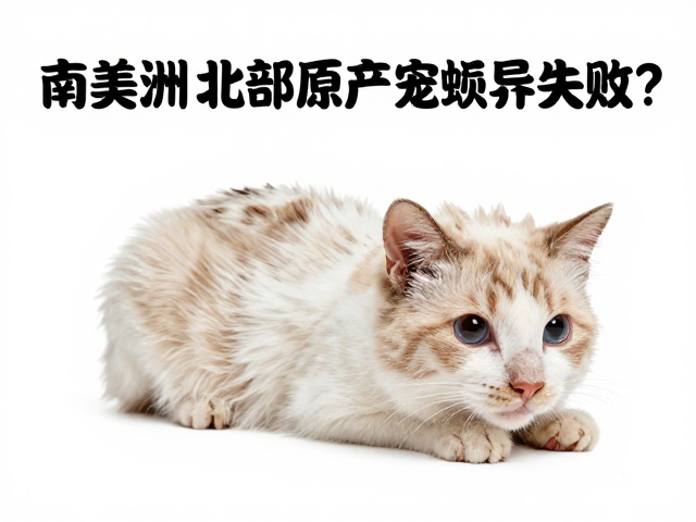 南美洲北部原产宠物蜕皮失败？保持湿度观察恢复指南