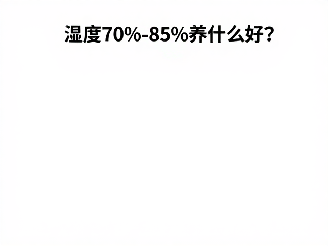 湿度70%-85%养什么好?观察步足完整性,锁定原生产地宠物