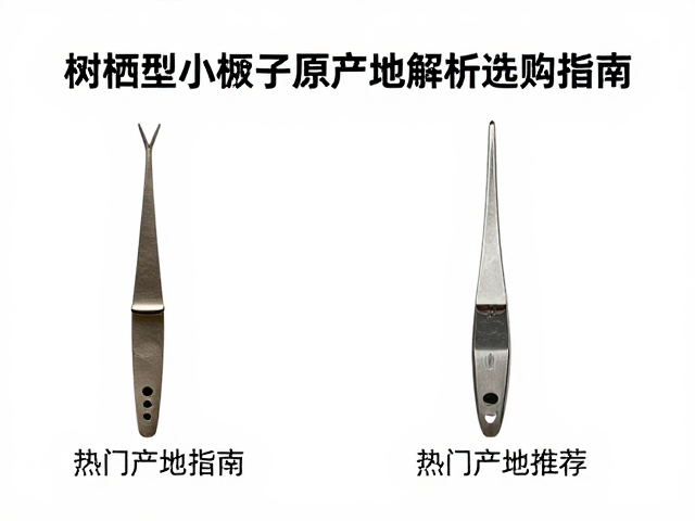 树栖型小镊子原产地解析，选购指南与热门产地推荐