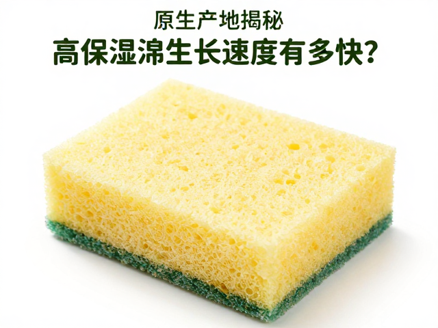 原生产地揭秘，高保湿海绵生长速度有多快？