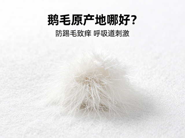 鹅毛原产地哪好?防踢毛致痒呼吸道刺激,通风要求全解析