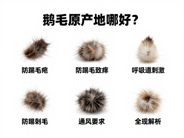 鹅毛原产地哪好?防踢毛致痒呼吸道刺激,通风要求全解析