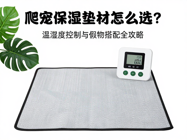 爬宠保湿垫材怎么选?温湿度控制与假植物搭配全攻略