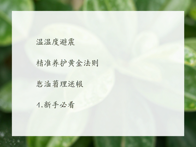 温湿度避震与自然散射光，植物养护黄金法则，新手必看