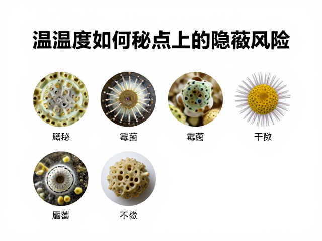 温湿度如何影响霉菌滋生？揭秘支撑点上的隐蔽风险