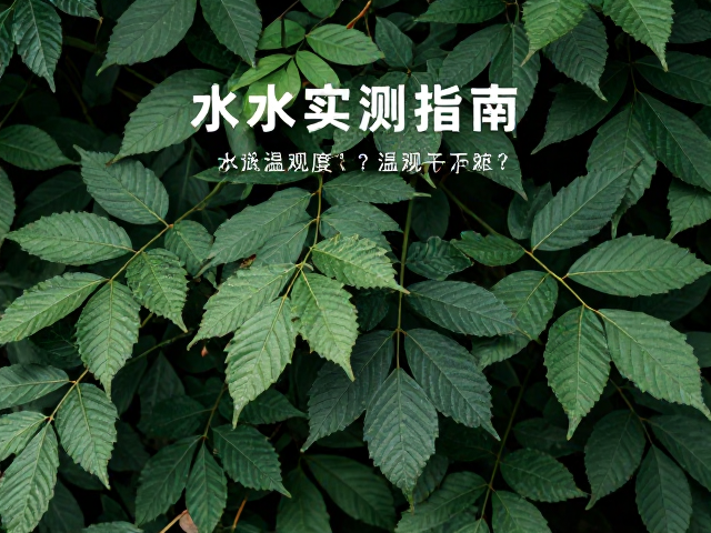 树叶遮蔽下如何观察水质？温湿度影响下的实测指南