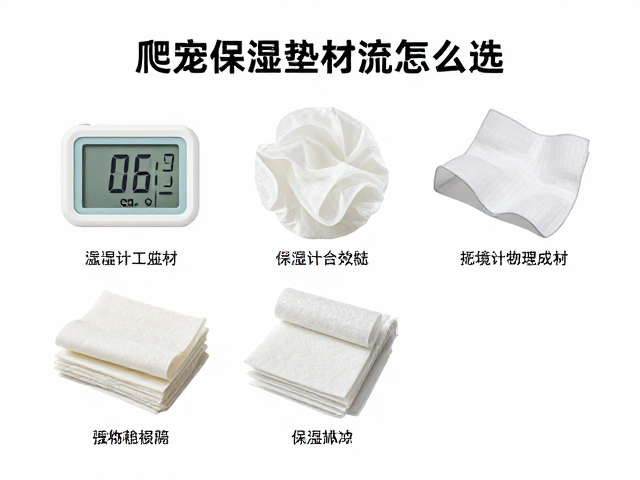爬宠保湿垫材怎么选？温湿度计监测指南，告别湿度焦虑