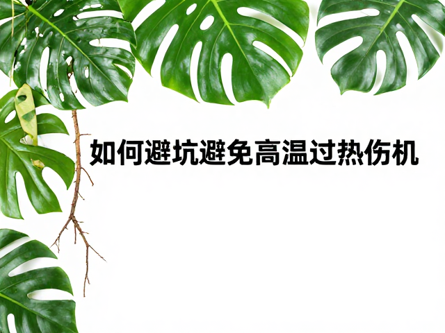 植物装饰避坑,如何调节温湿度避免高温过热伤根