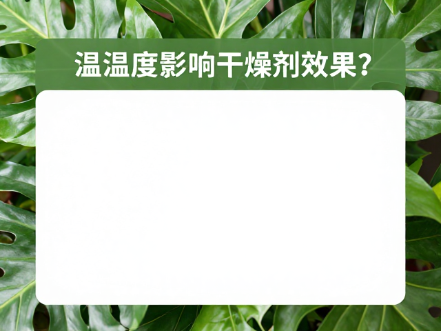 温湿度影响干燥剂效果？植物装饰养护与防潮全攻略