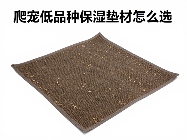 爬宠低湿品种保湿垫材怎么选?温湿度调控全攻略