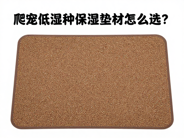 爬宠低湿品种保湿垫材怎么选？温湿度调控全攻略