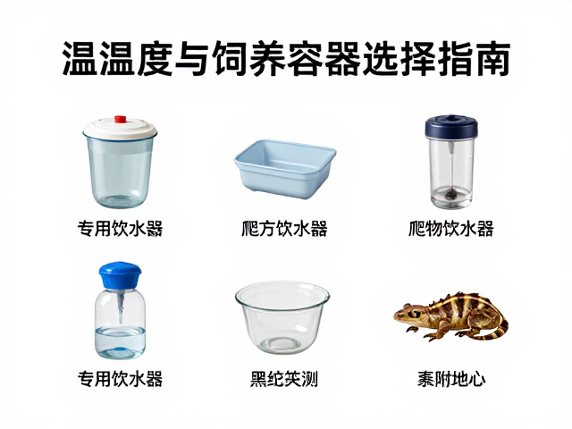 温湿度与饲养容器选择指南,专用饮水器搭配技巧