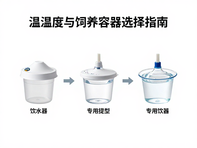 温湿度与饲养容器选择指南,专用饮水器搭配技巧