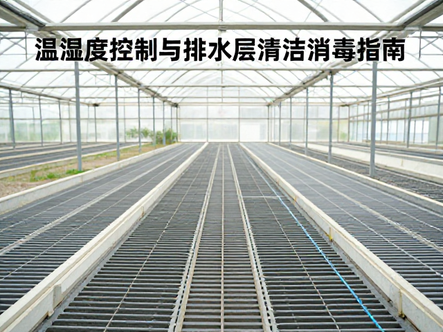 温室大棚温湿度控制与排水层清洁消毒指南