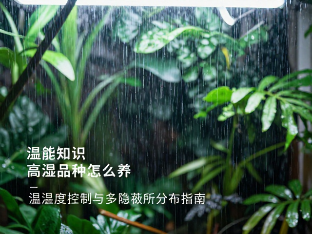 高湿品种怎么养？温湿度控制与多隐蔽所分布指南