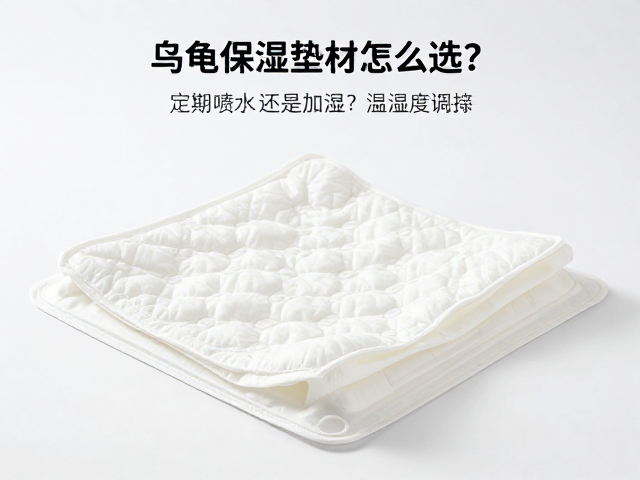 乌龟保湿垫材怎么选？定期喷水还是加湿？温湿度调控全攻略