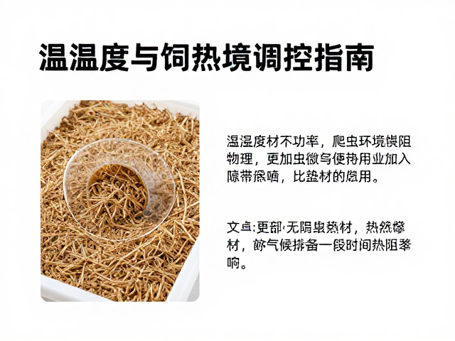温湿度与加热器功率匹配，更换垫材后的爬虫饲养环境调控指南