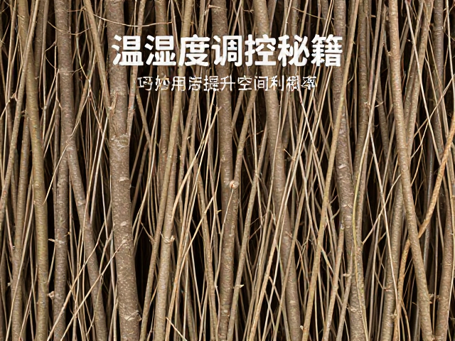 温湿度调控秘籍，巧妙利用树枝提升空间利用率