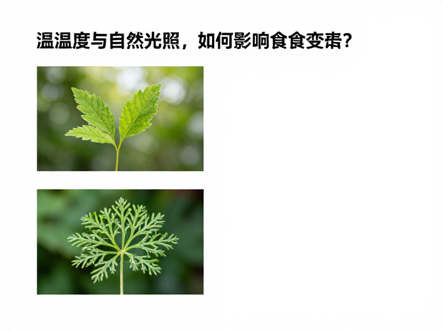 温湿度与自然光照模拟如何影响食欲变化?科学解析饮食健康