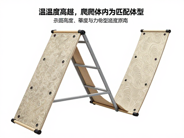 温湿度影响爬宠体型？高度与攀爬障碍匹配指南