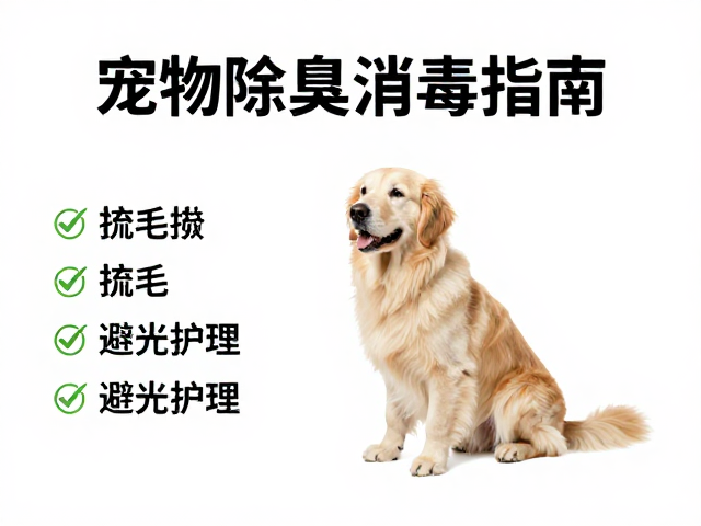 宠物除臭消毒指南,梳毛技巧与避光护理,告别异味困扰
