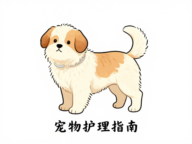 宠物护理指南，梳毛技巧，尿渍消毒与定点如厕训练
