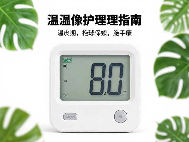 温湿度控制与蜕皮期护理，植物装饰下的宠物健康指南
