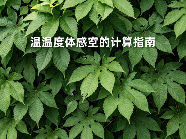 温湿度与高度体型匹配，树叶遮蔽下的舒适空间计算指南