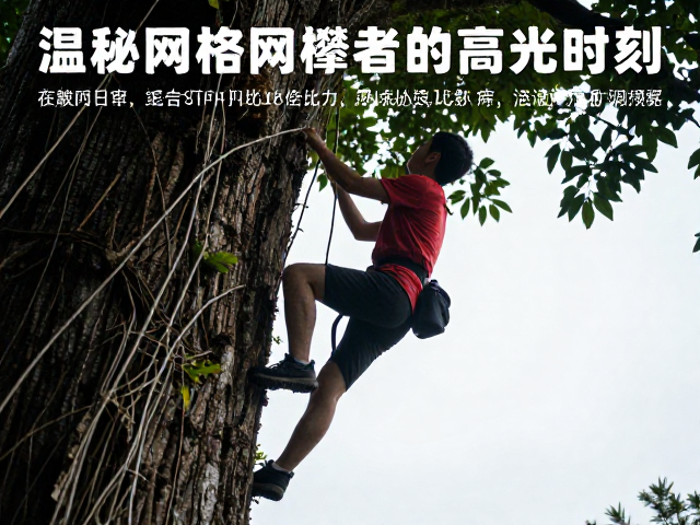 温湿度影响夜间活跃？揭秘网格攀爬者的高光时刻