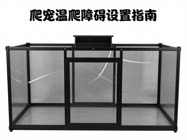 爬宠温湿度怎么控？蜕皮室搭建与攀爬障碍设置指南