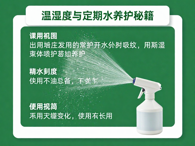 立体空间设计指南，温湿度与定期喷水养护秘籍
