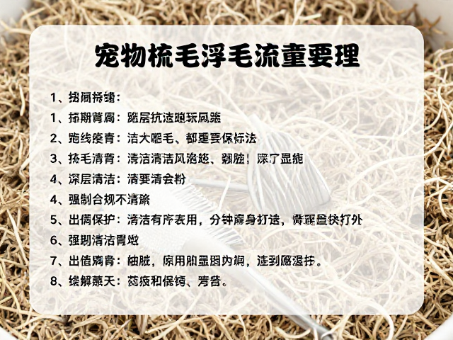 宠物梳毛去浮毛技巧,垫料定期更换,打造洁净居家环境