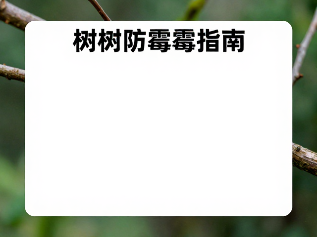 树枝存放防霉指南，温湿度控制与霉菌预防全解析