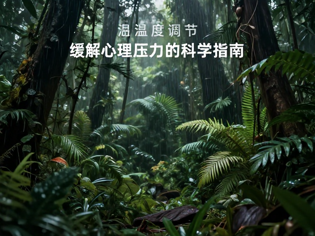 雨林型空间温湿度调节，缓解心理压力的科学指南