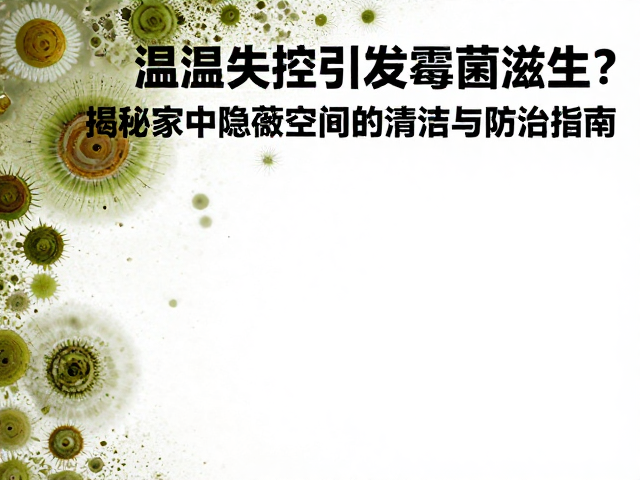 温湿度失控引发霉菌滋生？揭秘家中隐蔽空间的清洁与防治指南