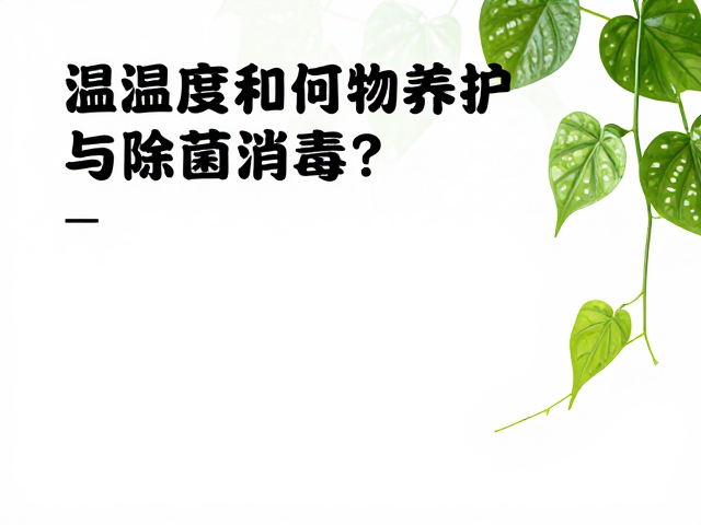 温湿度如何影响清洁消毒？揭秘藤蔓植物养护与除菌攻略