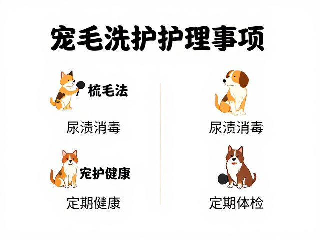 宠物护理干货,梳毛技巧,尿渍消毒,定期体检,打造健康爱宠