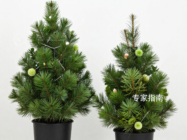 温湿度如何影响树枝植物装饰的保鲜与造型？专家指南