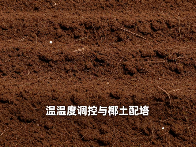 温湿度调控与椰土配土，打造宠物安静环境全攻略