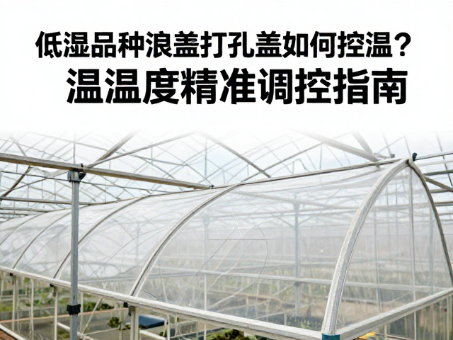 低湿品种温室打孔盖如何控温？温湿度精准调控指南