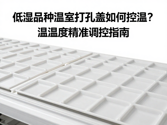 低湿品种温室打孔盖如何控温？温湿度精准调控指南