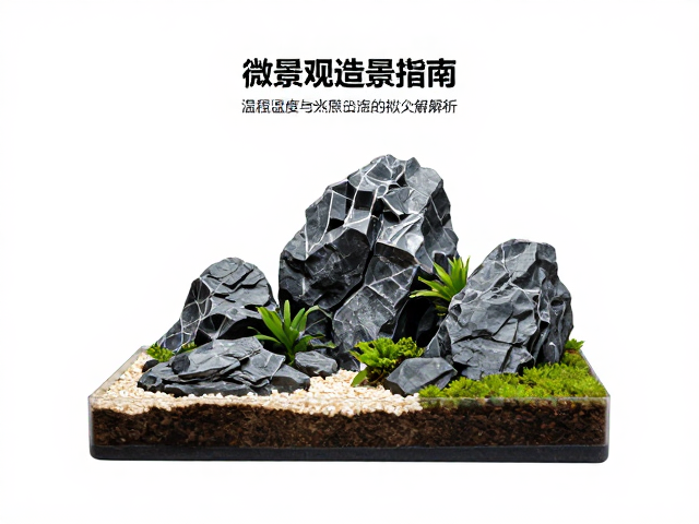 岩石微景观造景指南，温湿度与光照模拟全解析