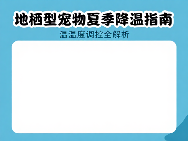 地栖型宠物夏季降温指南,温湿度调控全解析